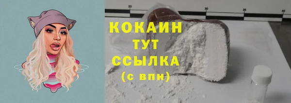 прущие грибы Майский