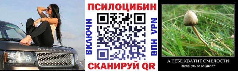 что такое Киржач mega tor Галлюциногенные грибы GOLDEN TEACHER