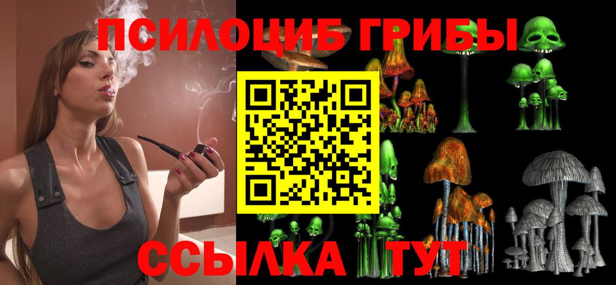 Киржач  Галлюциногенные грибы Psilocybe  Вход с VPN 
