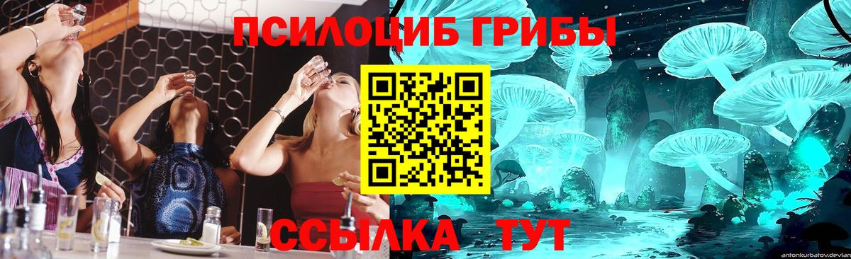 Псилоцибиновые грибы Psilocybe Киржач