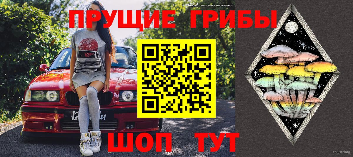 Галлюциногенные грибы Psilocybine cubensis  Киржач 